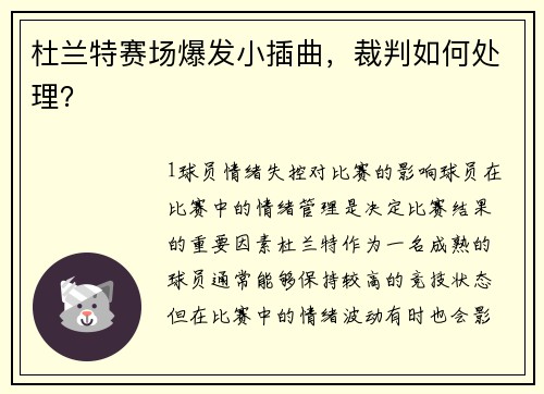 杜兰特赛场爆发小插曲，裁判如何处理？